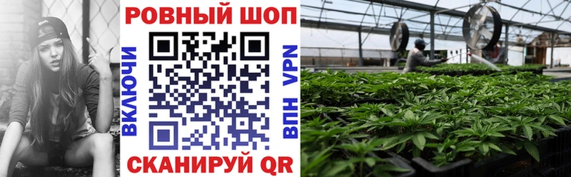 Купить закладку Гашиш  Alpha-PVP  Амфетамин  Меф  Лихославль