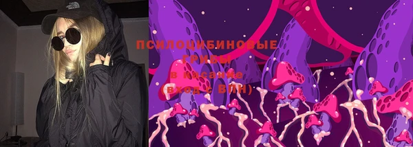 мяу мяу мука Бугульма