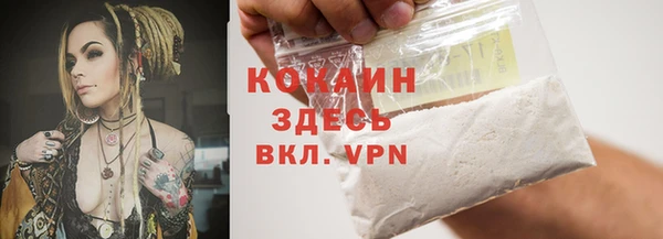 ешки Бронницы