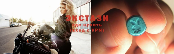 ECSTASY Бородино
