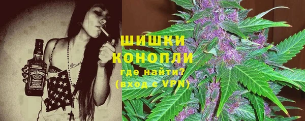 ешки Бронницы