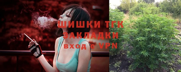 ешки Бронницы