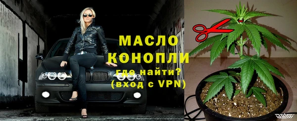 ECSTASY Бородино