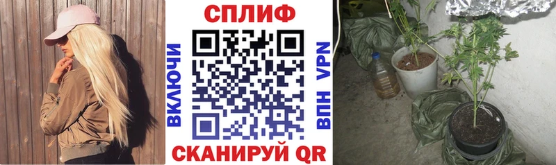 Купить  Лихославль  Каннабис индика 